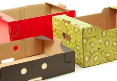 Corrugated Boxes